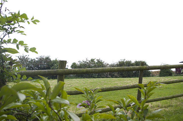 Middle Farm
